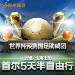 北京/上海－首尔5天4晚 世界杯预赛国足助威团 机票＋五花酒店＋接送机＋预赛门票 