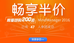 MindManager 2016 标准版（专业版） 限量团购