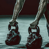 Onnit Primal Kettlebells 兽首提壶哑铃 18磅