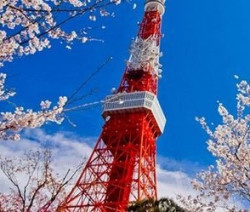 上海领区:日本旅游签证多套餐(免税单) 199元起