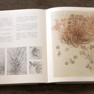  《达•芬奇笔记》（精装）