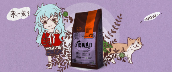 Nature Bridge 比瑞吉 无谷六种鱼 猫粮 2kg+12个罐头