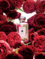 JO MALONE 红玫瑰 女士香水 30ml