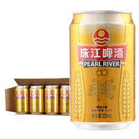 珠江啤酒 精品小麦啤酒 10°P 330ml*24听