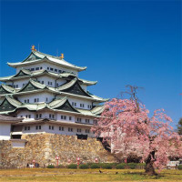 特价机票：北京-日本东京/大阪/名古屋5-6日往返含税机票