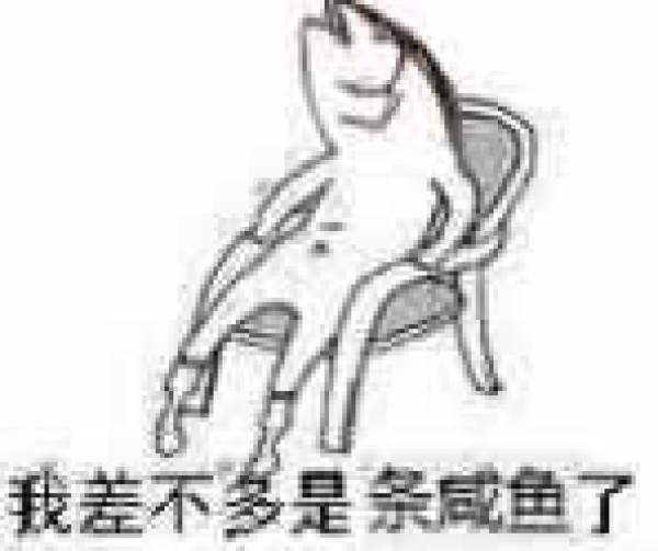 咸鱼毛绒抱枕 周边玩具推荐