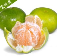 宜昌 青皮蜜桔 5斤装*2份 约55个