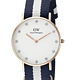 Daniel Wellington 0953DW 女款时装腕表