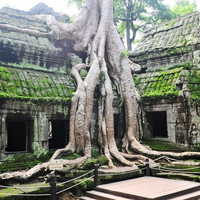 特价机票：节后错峰 上海至柬埔寨吴哥窟5日往返含税机票（可选酒店套餐）