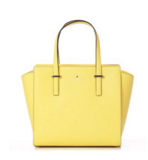 kate spade NEW YORK CEDAR STREET SMALL HAYDEN 女士手提包