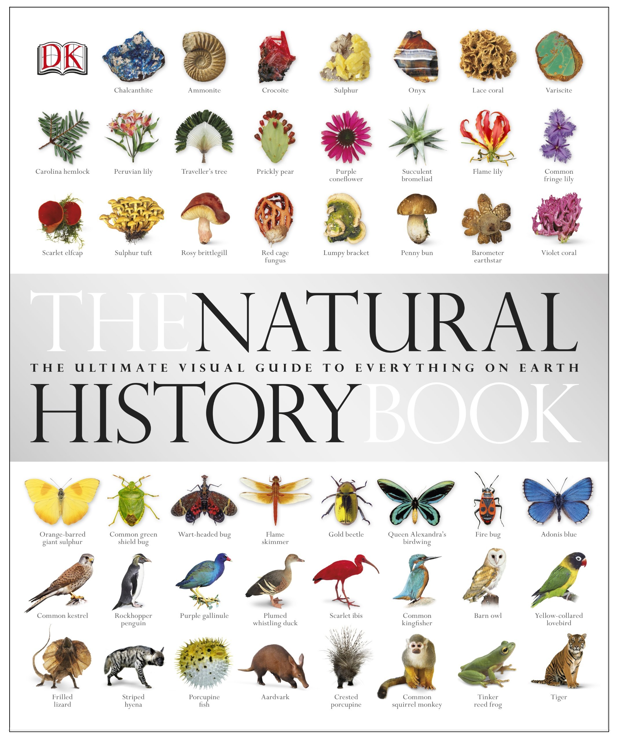 《The Natural History Book 自然史》（英文原版）