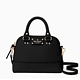 kate spade NEW YORK wellesley mini rachelle 女款单肩包