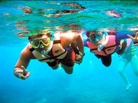 当地玩乐：巴厘岛蓝梦岛一日游（水晶湾，红树林，码头墙三处浮潜+会所午餐+环岛）