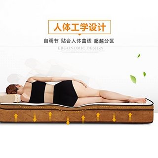 Sleep Science 斯利普 Air MAX II 记忆棉乳胶弹簧床垫 180*200*25CM