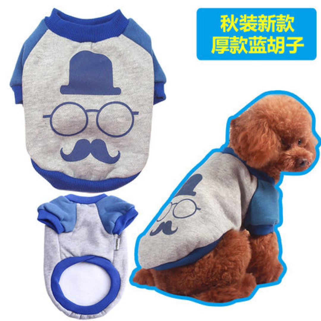与猫鼻支抗争胜利全记录——天冷了,主子多保重啊!