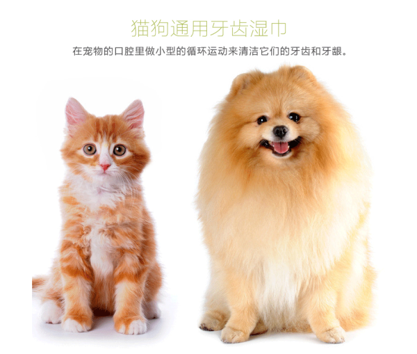 purry 派锐 狗猫通用牙齿湿巾 2盒*100片