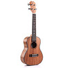 TOM ukulele TUC-200 吉它