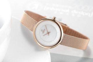 Obaku V146LXVWMV  简约时尚腕表 