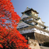 特价机票：天津-大阪 6/7天往返含税机票