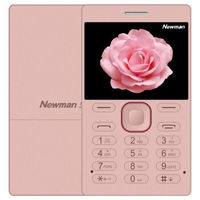 Newman 纽曼 D1 移动/联通2G 卡片手机