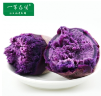 一苇农佳 农家自产紫薯 5斤