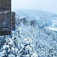 活动汇总：飞猪（阿里旅行）双十一预售旅游特价商品汇总