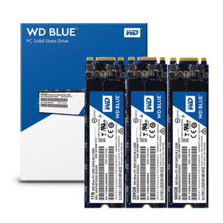 WD 西部数据 Blue M.2 固态硬盘