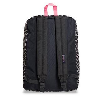 Jansport SuperBreak T501ZE6 休闲双肩包