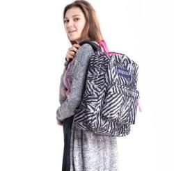 Jansport  SuperBreak T501ZE6 休闲双肩包