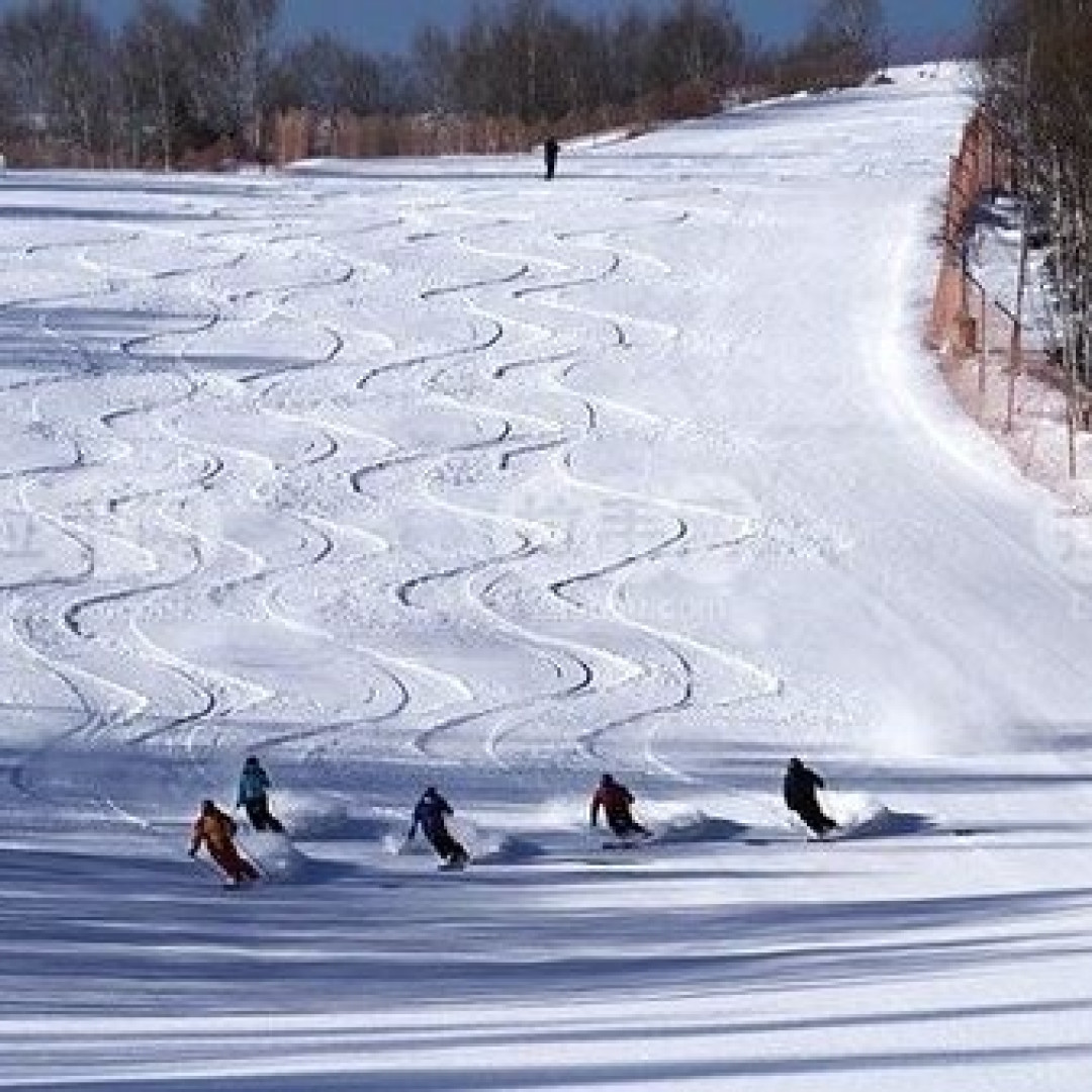快让我在这雪地里撒点野（国内篇）
