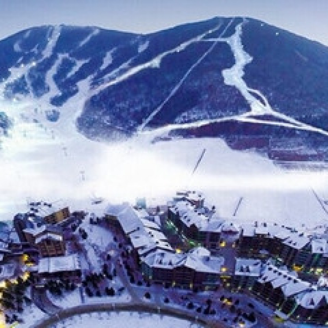 快让我在这雪地里撒点野（国内篇）