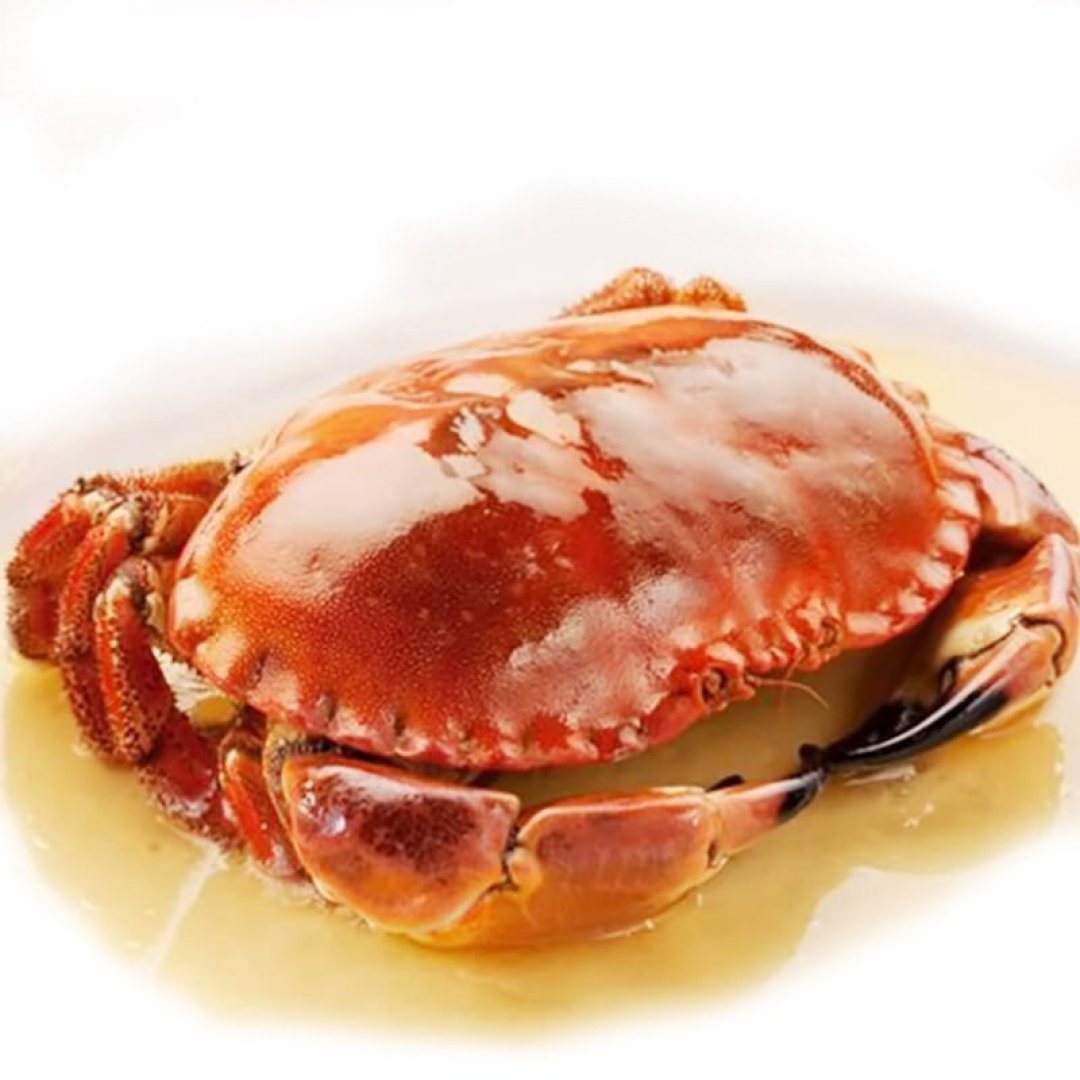 冷冻海蟹一定比鲜食差? 线上海蟹种类盘点