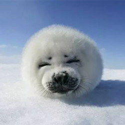 库茨克(贝加尔湖)4\/5天自由行(往返含税机票+全