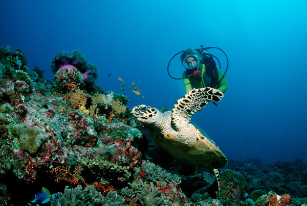 自由行:广州-菲律宾杜马盖地 5天4晚 含税机票