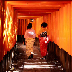 全国多地-日本东京/大阪/名古屋/佐贺/高松/札幌 5-8天自由行