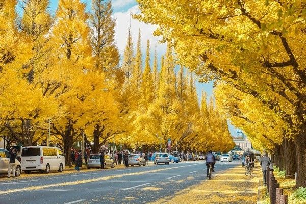 含元旦班期 北京-东京 4-7天往返含税机票 全日空