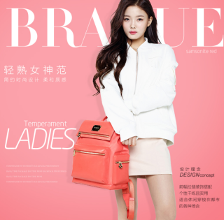 Samsonite 新秀丽  RED BM9*00002 BRAGUE 女士双肩包