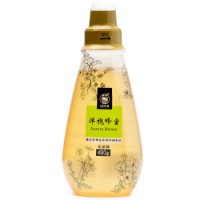 ZHANQIAO 栈桥 洋槐蜂蜜 480g