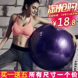 迈得豪 加厚防爆瑜伽球 55cm 