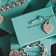 Tiffany & Co. 蒂芙尼 Return to Tiffany系列 Double Heart Tag 吊坠项链 + LAMY恒星钢笔