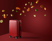 MI 小米 90分旅行箱 20寸