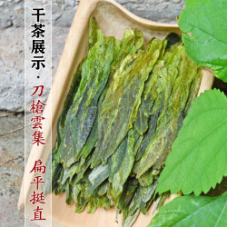 小隐茶人 茶叶太平猴魁 50g