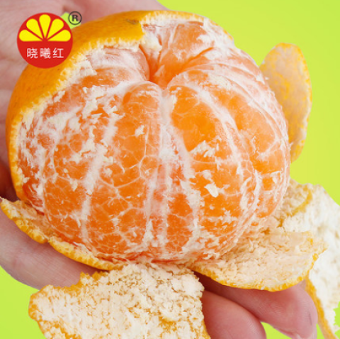 晓曦红 珍珠桔正宗宜昌柑橘 5斤装