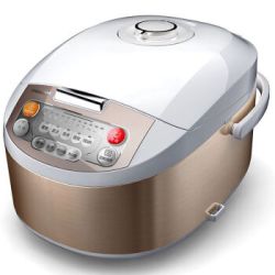 PHILIPS 飞利浦 HD3032/21 3L 多功能 电饭煲