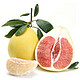 移动端：展卉 精品鸳鸯柚子2个装 1个红心蜜柚+1个白心蜜柚 单果2.3-2.7斤 自营水果