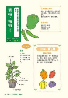  《在阳台上种菜》