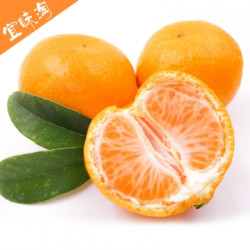 宜味淘 窑湾蜜桔 5斤 约30个