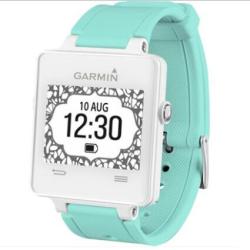 GARMIN 佳明 