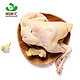 NATREGRO 明康汇 柴母鸡三黄鸡（冰鲜） 约0.9kg