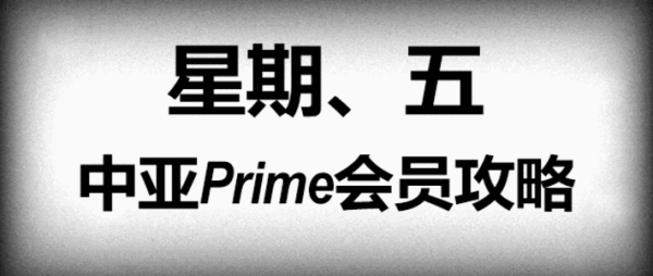 Amazon 亚马逊·全球篇 黑五+剁手星期一